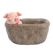 Load image into Gallery viewer, Pig Pots Garden