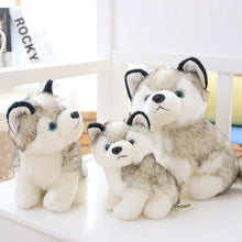 Load image into Gallery viewer, Pet Dog Toy